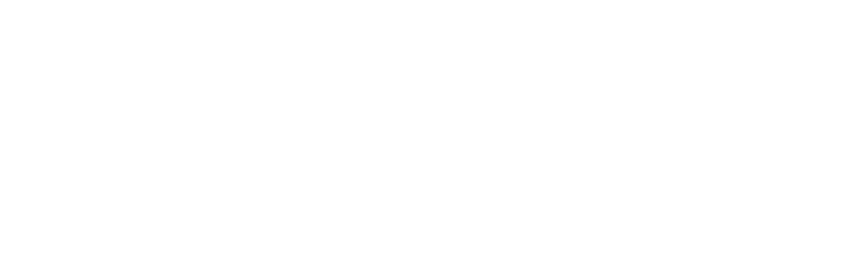 Vytenis logo