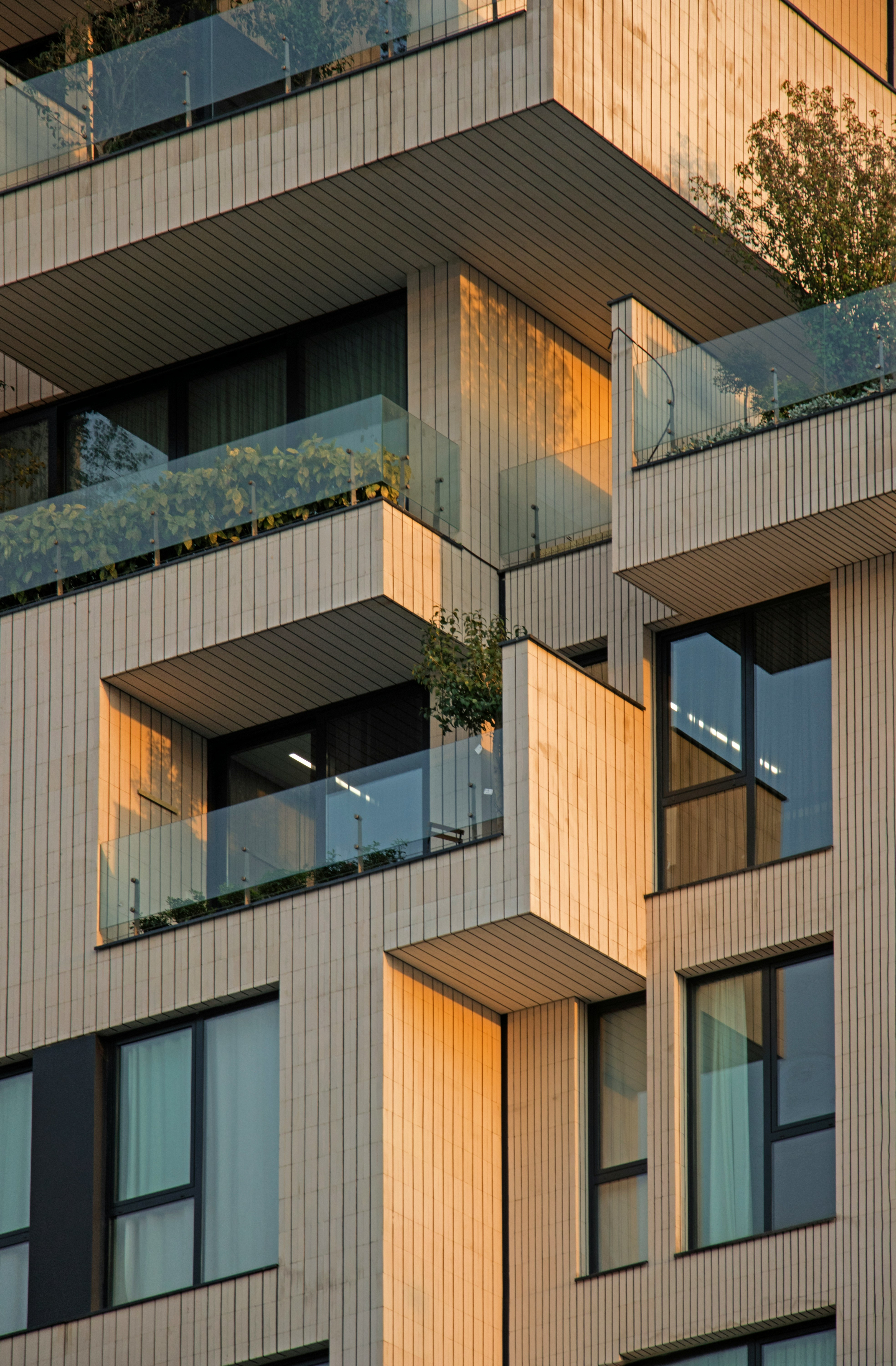 Service Card Background